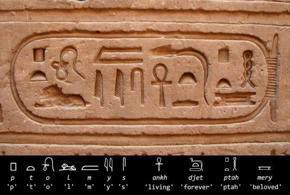 Erki Guest House Abu Simbel Exterior foto